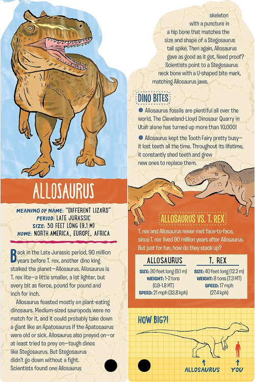 Fandex Kids: Dinosaurs: Facts That Fit in Your Hand: 48 Amazing Dinosaurs Inside! Cards by Workman Publishing- Cards