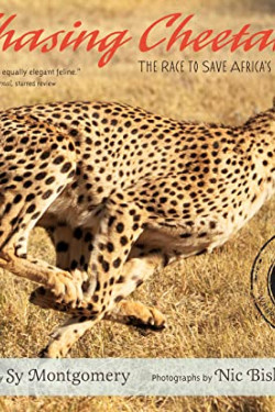Chasing Cheetahs (Scientists in the Field) by Montgomery, Sy Bishop, Nic (Pht)-Paperback