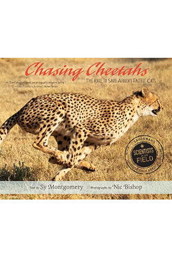 Chasing Cheetahs (Scientists in the Field) by Montgomery, Sy Bishop, Nic (Pht)-Paperback