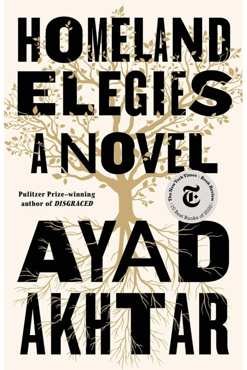 Homeland Elegies by Akhtar, Ayad-Hardcover