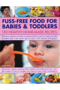 Healthy Home-Made  Food  For Babies & Toddlers: 150 Tasty Fuss-Free Food for Babies and Toddlers by Sara Lewis  Hardcover 