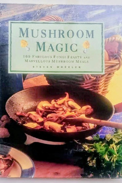 Magic Mushroom by Steven Wheeler 
