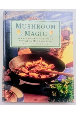 Magic Mushroom by Steven Wheeler 