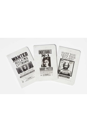 Harry Potter: Wanted Posters Pocket Notebook Collection by Insight Editions