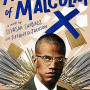 The Awakening of Malcolm X by Ilyasah Shabazz & Tiffany D. Jackson - Paperback