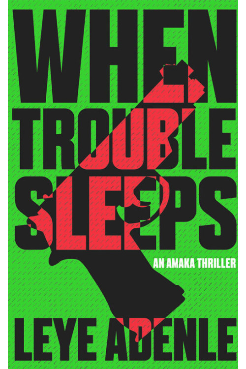 When Trouble Sleeps by Leye Adenle - Paperback