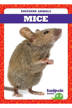 Mice (Tadpole Books: Backyard Animals) by Genevieve Nilsen - Paperback
