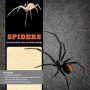 IncrediBuilds: Spiders Deluxe Book and Model Set by Insight Editions 