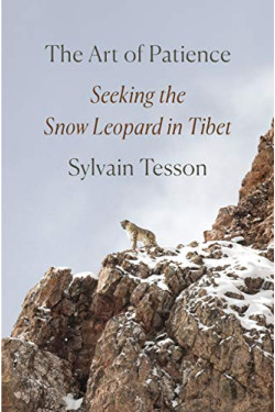 The Art of Patience: Seeking the Snow Leopard in Tibet by Tesson, Sylvain - Hardback 