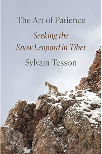 The Art of Patience: Seeking the Snow Leopard in Tibet by Tesson, Sylvain - Hardback 