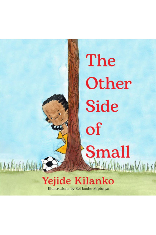 The Other Side of Small by Yejide Kilanko