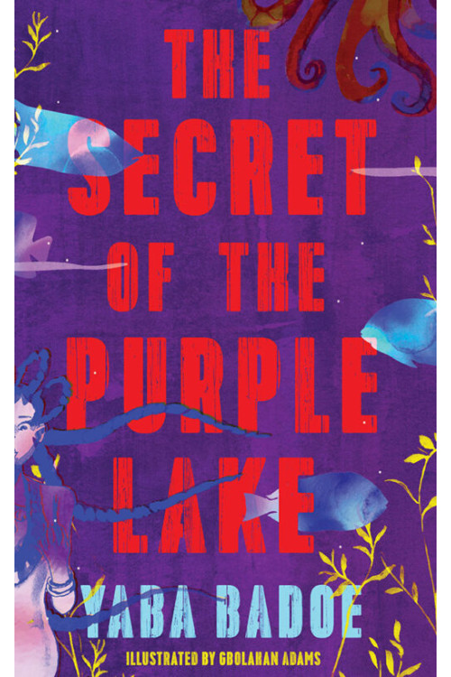 The Secret of the Purple lake by Yaba Badoe - Paperback