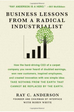 Business Lessons from a Radical Industrialist by Anderson, Ray C. White, Robin -Paperback