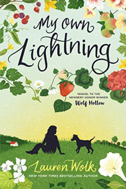 My Own Lightning by Wolk, Lauren -Paperback