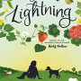 My Own Lightning by Wolk, Lauren -Paperback