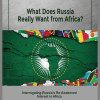 What Does Russia Want from Africa? Interrogating Russia’s Re-awakened Interest in Africa by Jideofor Adibe - Paperback