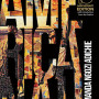 Americanah by Chimamanda Adichie - 10th Anniversary Edition 