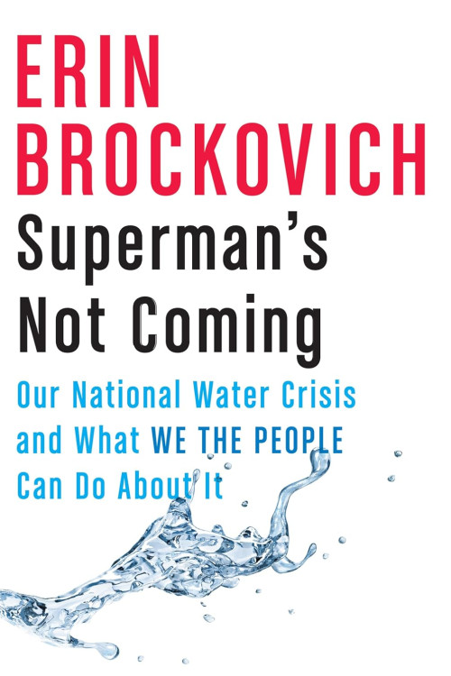 Superman's Not Coming: Our National Water Crisis and What We the People Can Do About It by Erin Brockovich - Hardback