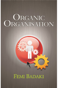 Organic Organisation Femi Badaki