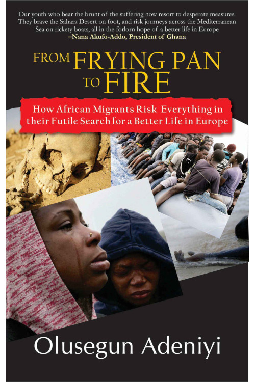 From Frying Pan to Fire by  Olusegun Adeniyi -Paperback