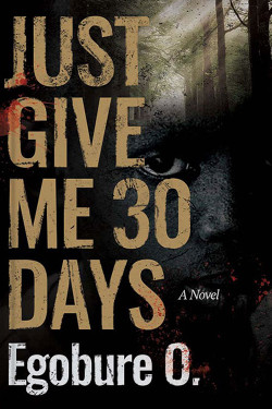 Just Give Me 30 Days By Egobure O-Paperback