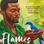 Flames Of Memories By Sumaila Isah Umaisha
