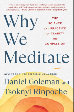 Why We Meditate: The Science and Practice of Clarity and Compassion by Goleman, Daniel Rinpochi, Tsoknyi 