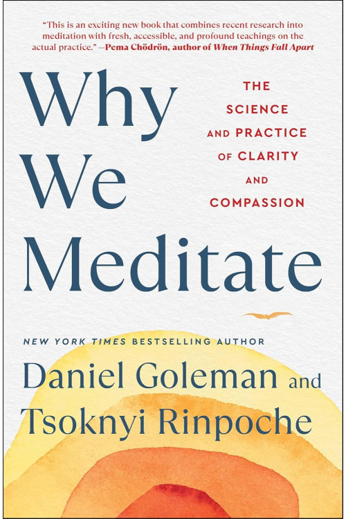 Why We Meditate: The Science and Practice of Clarity and Compassion by Goleman, Daniel Rinpochi, Tsoknyi 