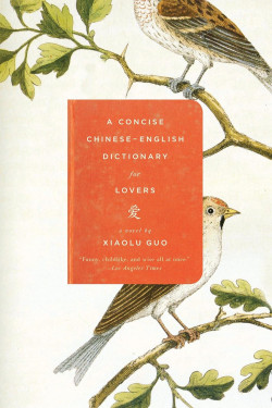 A Concise Chinese-English Dictionary for Lovers by Xiaolu Guo