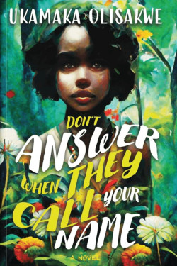 Don’t Answer When They Call Your Name A Novel By Ukamaka Olisakwe
