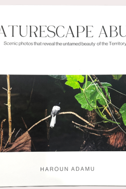 Naturescape Abuja by Haroun Adamu