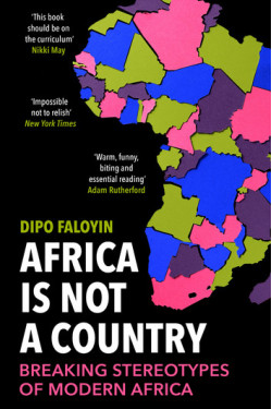 Africa is Not A Country: Breaking Stereotypes of Modern Africa by Dipo Faloyin - Paperback