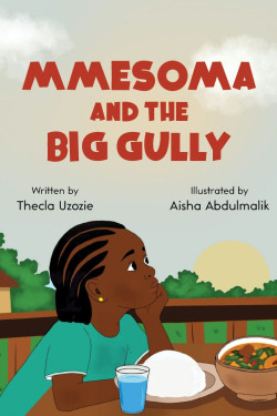 Mmesoma and the Big Gully by Thecla Uzazie - Paperback