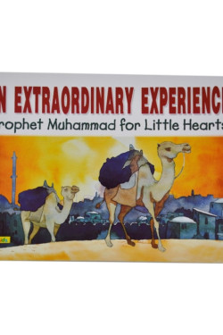 An Extraordinary Experience - Hardback