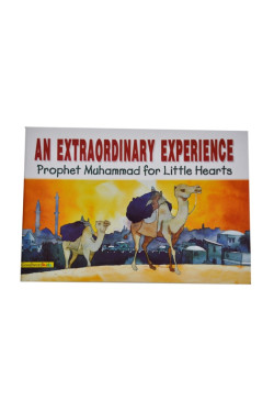 An Extraordinary Experience - Hardback