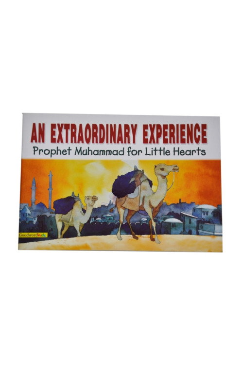 An Extraordinary Experience - Hardback