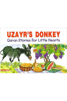 Uzayr's Donkey by Saniyasnain Khan - Paperback