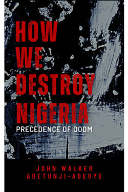 How We Destroy Nigeria: Precedence of Doom by John Walker Adetunji-Adeoye - Paperback 