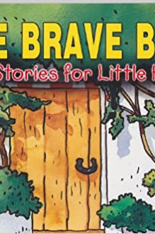 The Brave Boy by Saniyasnain Khan - Paperback