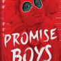 Promise Boys by Nick Brook - Paperback 