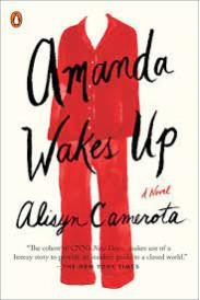 Amanda Wakes Up by Camerota, Alisyn-Paperback