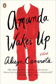 Amanda Wakes Up by Camerota, Alisyn-Paperback