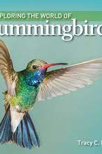 Exploring the World of Hummingbirds y Read, Tracy C.