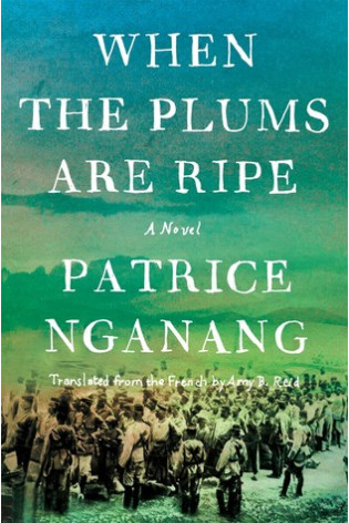 When the Plums Are Ripe by Patrice Nganang - Hardback