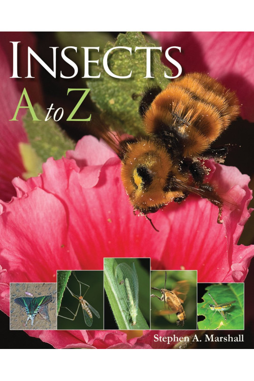 Insects A to Z by Stephen Marshall - Paperback