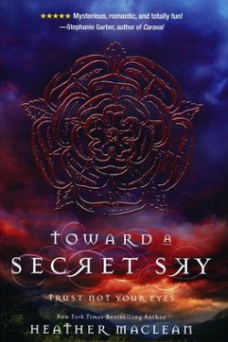 Toward a Secret Sky (Blink) by Maclean, Heather-Hardcover