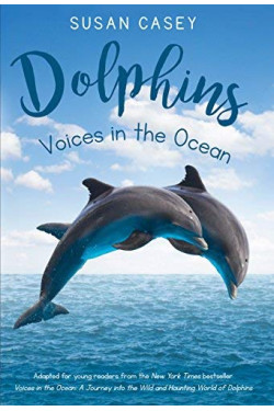 Dolphins: Voices in the Ocean by Casey, Susan-Hardback