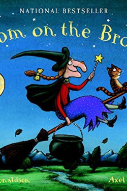 Room On The Broom by Donaldson, Julia- paperback 