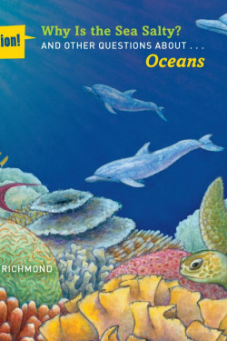 Why Is the Sea Salty?: And Other Questions About Oceans (Good Question!) by Richmond, Benjamin