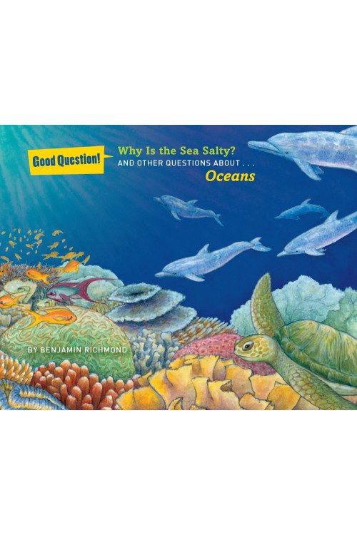 Why Is the Sea Salty?: And Other Questions About Oceans (Good Question!) by Richmond, Benjamin